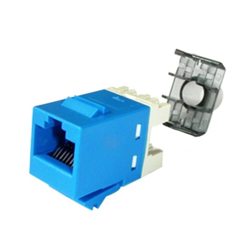 COMMSCOPE Modular Jack RJ45 AMP Cat.6